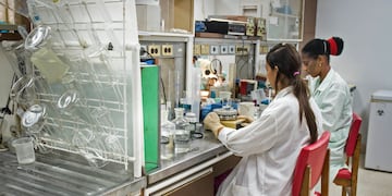 Sin quimio, nuevos tratamientos logran mejor control de leucemia linfolítica