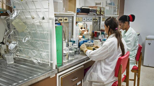 Sin quimio, nuevos tratamientos logran mejor control de leucemia linfolítica