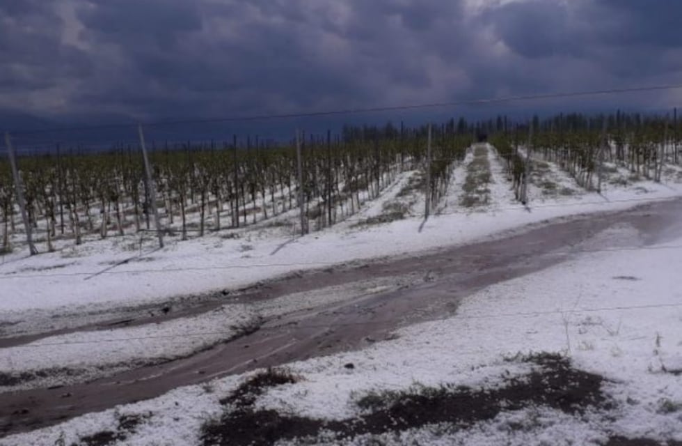 Comenzaron a pagar la segunda etapa del Seguro Agrícola