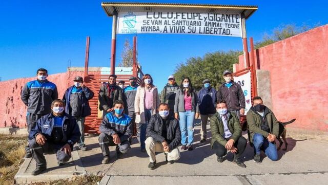 El Municipio Riojano hizo efectivo el traslado de los búfalos y el yacaré