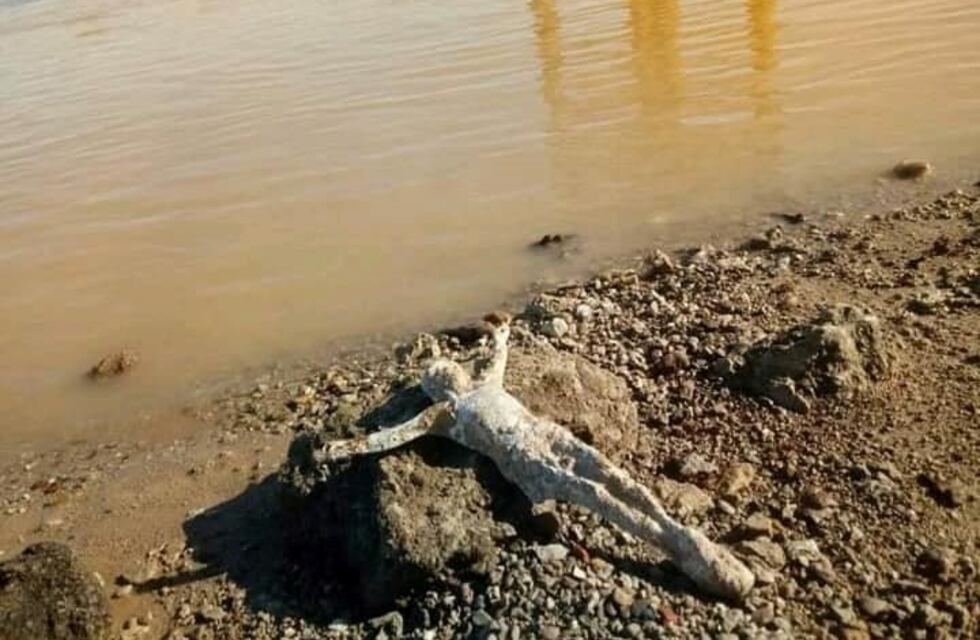 Apareció un "Cristo del Río" a la vera del  Paraná