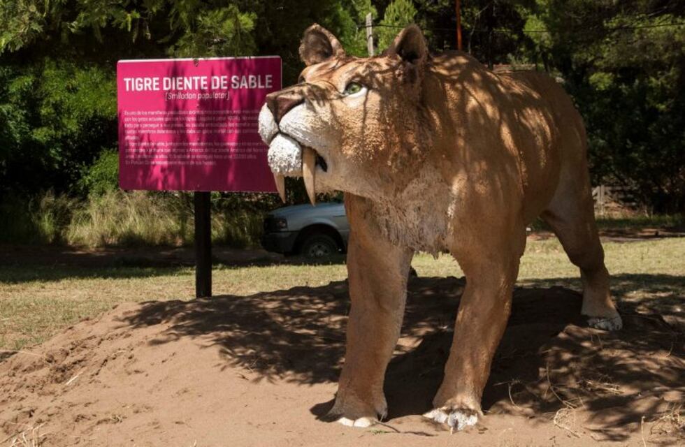 Pehuen Co: incorporaron nuevos integrantes al parque Mega Fauna