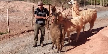 Auxilio económico para el turismo receptivo en Jujuy