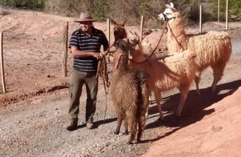 Disponen auxilio económico para el sector del turismo receptivo