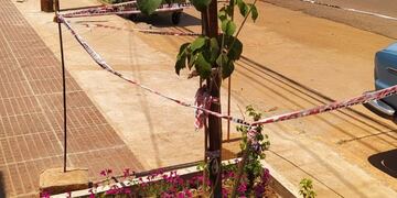 La comuna pidió a lo vecinos ayudar regando las plantas\u002E
