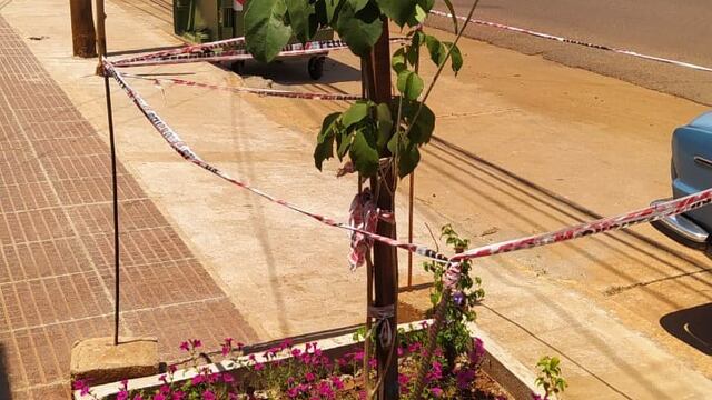 La comuna pidió a lo vecinos ayudar regando las plantas\u002E