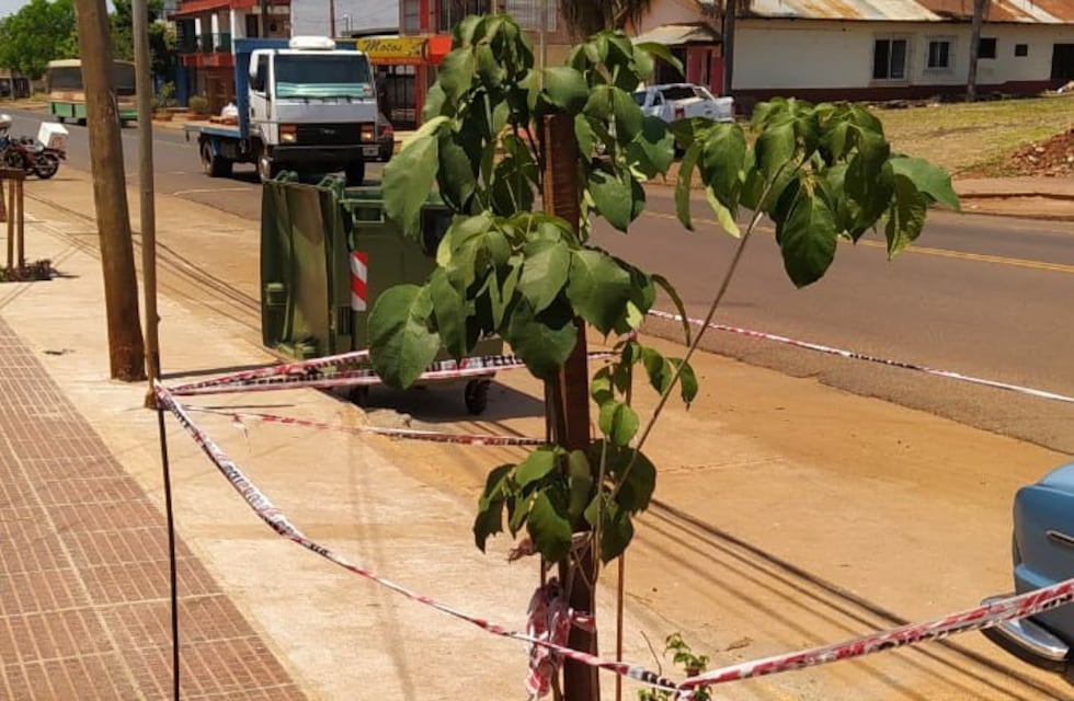 La municipalidad de Eldorado pide a los vecinos cuidar los árboles implantados