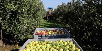 Federación de Productores de Río Negro y Neuquén\u002E