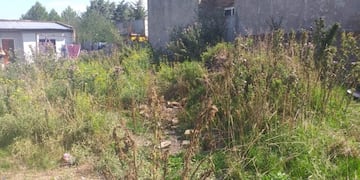 Terrenos baldíos (prensa municipal)