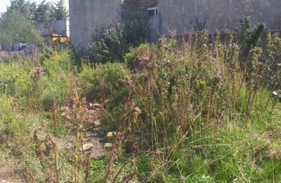 Habrá multas de hasta $ 72.000 por no limpiar baldíos en Salta