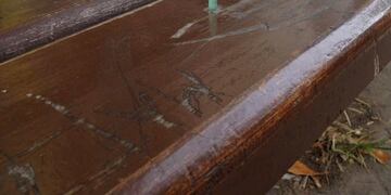 Aguja en refugio de colectivo