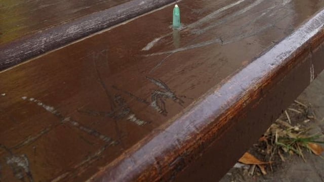 Aguja en refugio de colectivo