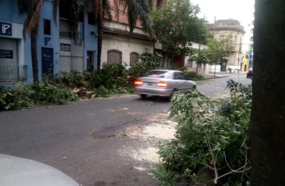 La tormenta en Rosario tiró 160 árboles y había una decena de barrios sin luz