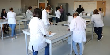 Casi 1600 voluntarios se inscribieron en la UNS