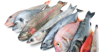 Pescado