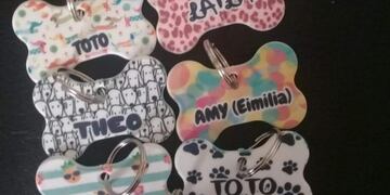 La identificación de las mascotas es clave para combatir el abandono de animales según Patitas de Perros\u002E