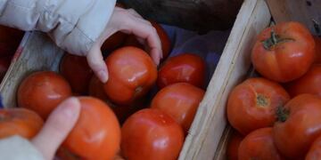 El tomate, el producto más caro