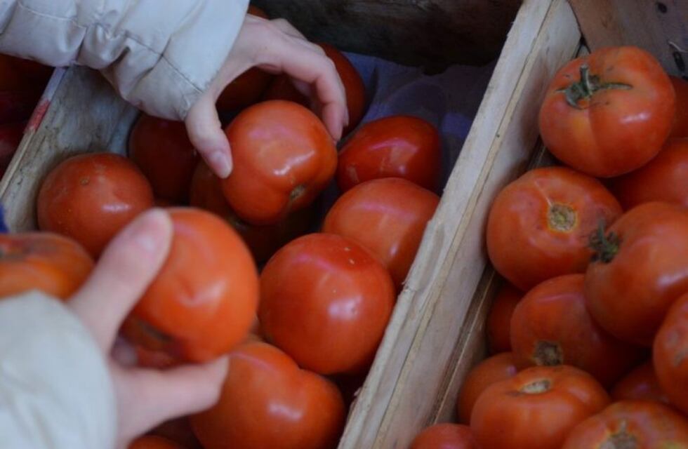 El aumento del tomate