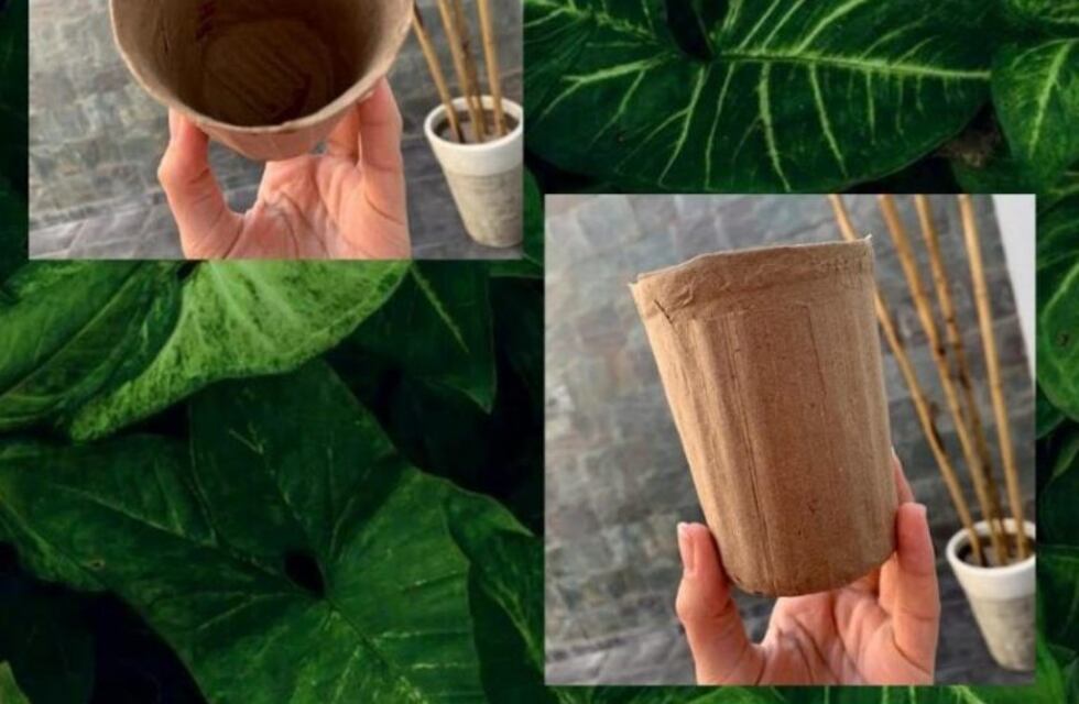 Brinkmann: alumnos de una escuela fabrican eco macetas con cartón y papel reciclado