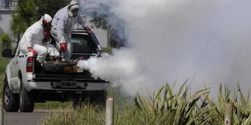 Las fumigaciones continuarán este domingo y lunes en amplios sectores de la ciudad\u002E