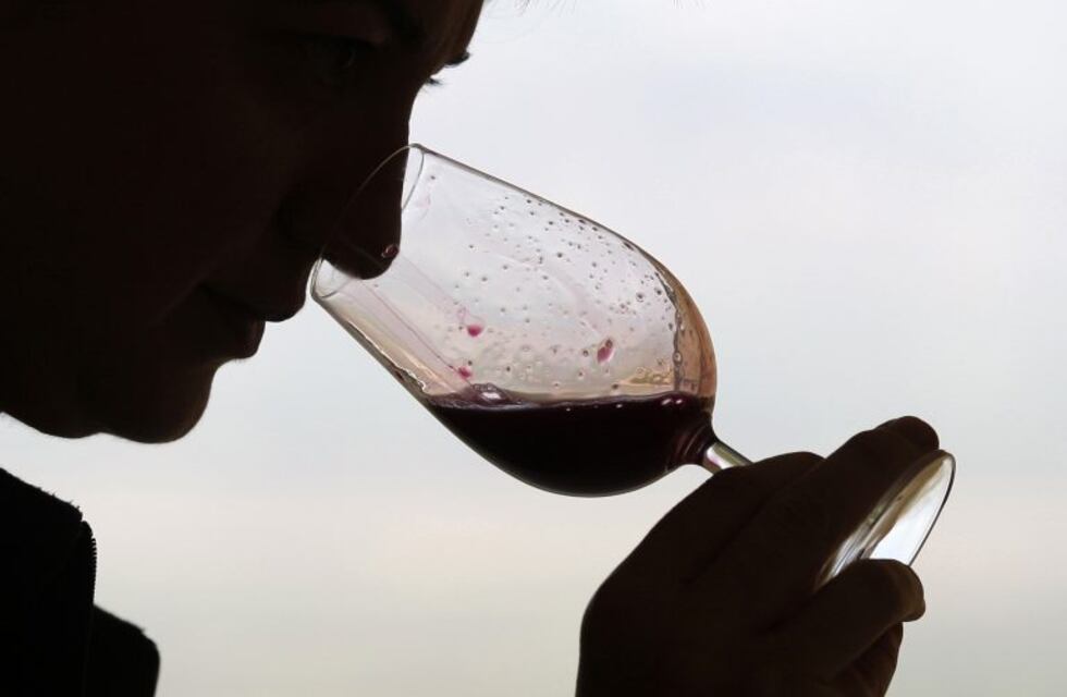 El próximo sábado se celebra el día del enólogo en Mendoza
