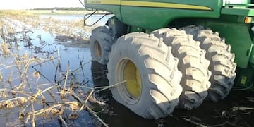 Cosechas inundadas por las lluvias en el Chaco\u002E