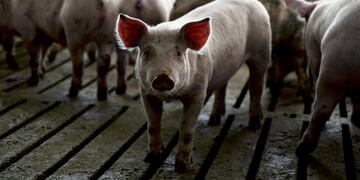 Photographer: Daniel Acker/Bloomberg