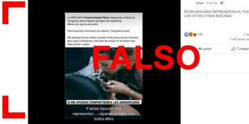 Es falsa la publicación que afirma que Victoria Donda está consumiendo cocaína en el Congreso\u002E