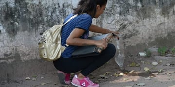 Lucha contra el dengue, en Jujuy
