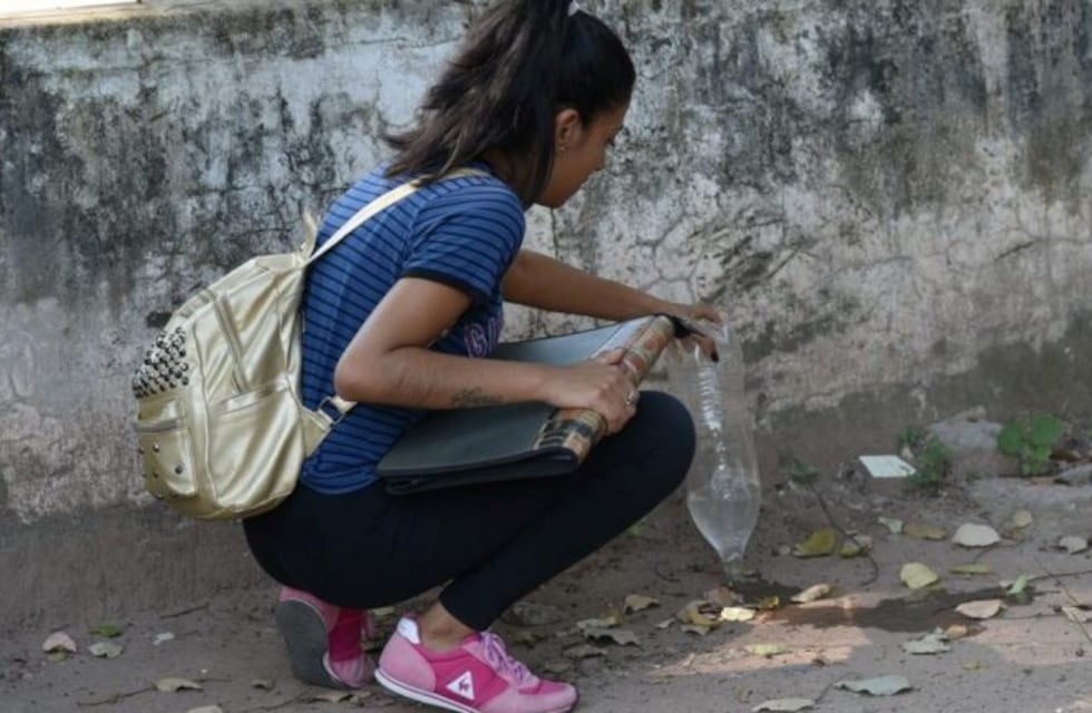 Aumentan los casos de dengue en San Pedro y suman en Jujuy 1.383