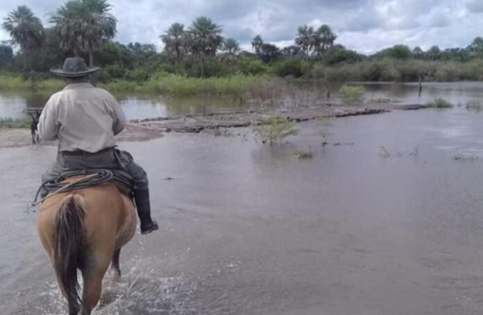 Consorcios rurales chaqueños piden más ayuda al Gobierno Nacional