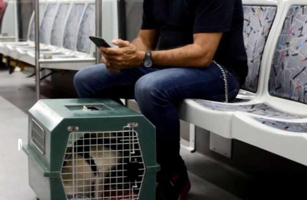 Pocos pasajeros viajan con sus mascotas en el Subte pese a la medida que lo permite