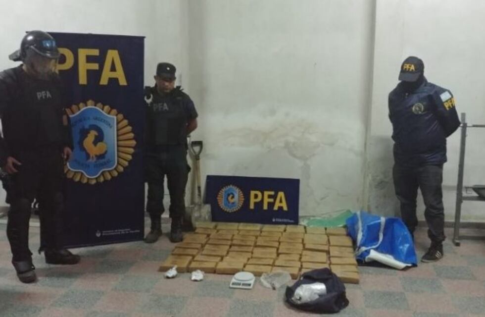 Golpe al narcotráfrico: Secuestraron 80 kilos de marihuana, 1 millón de pesos y 13 mil dólares