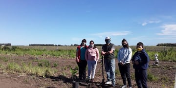 Plantación de Nogales