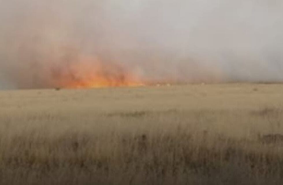 Bahía Blanca: incendio de pastizales en el Quinto Cuerpo del Ejército