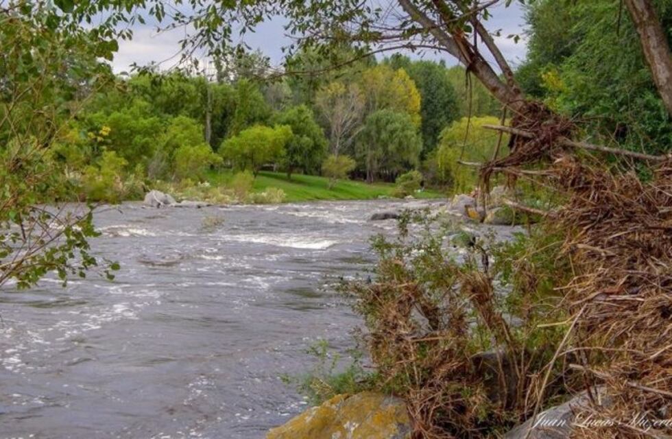 Carlos Paz: el "Día Mundial del Medio Ambiente" se festeja trabajando