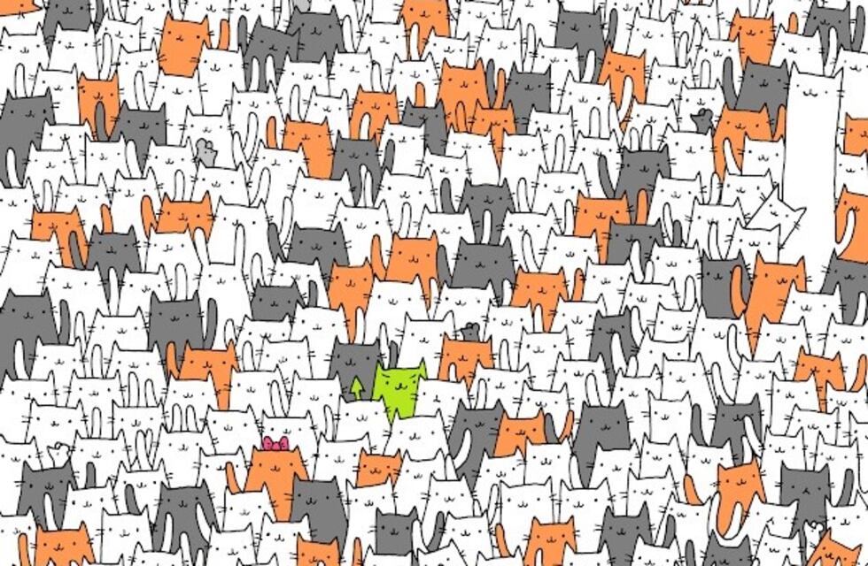 Desafío viral que enloquece: ¿podés ver al conejo escondido entre los gatitos?