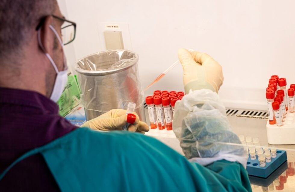 Coronavirus: tres nuevos casos sumó el departamento Islas del Ibicuy