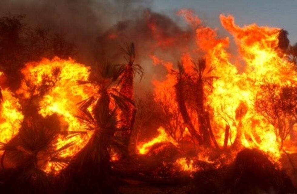 Sofocaron el incendio en la localidad de San Francisco en San Luis