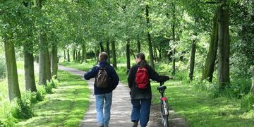 Día del Amigo\u002E