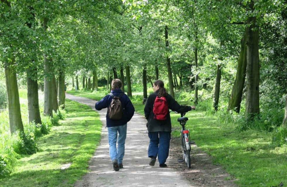 Los mejores memes del Día del Amigo