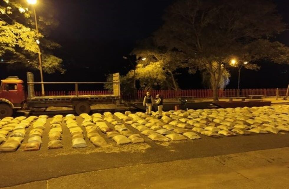 Detectan soja que estaba por pasar de contrabando a Brasil