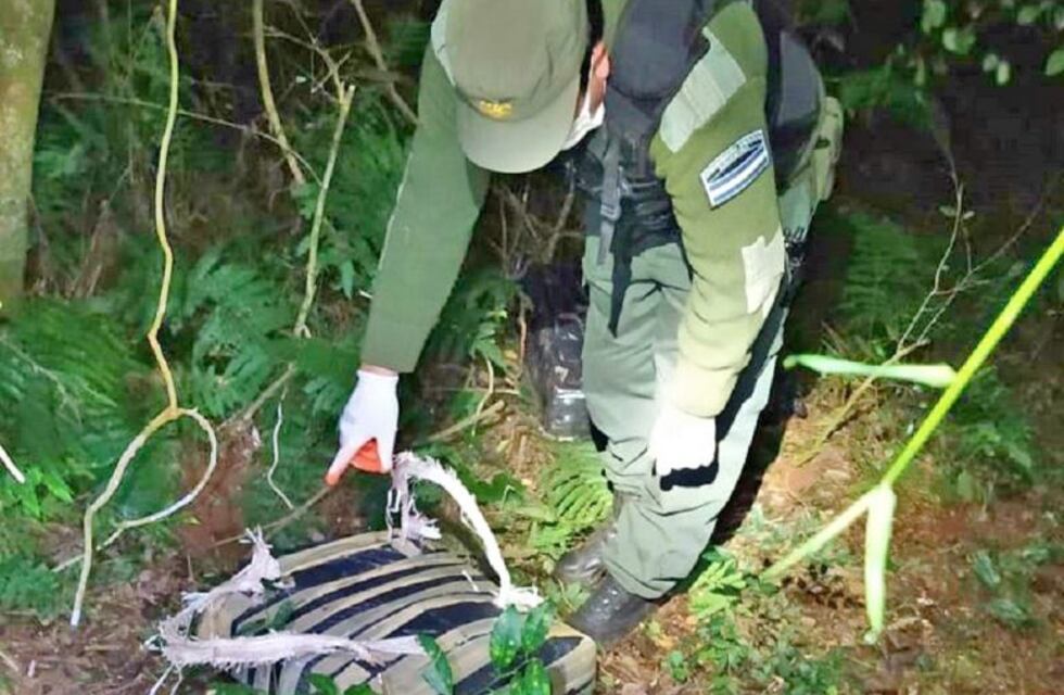 Capioví: Gendarmería encontró más de cien kilos de marihuana en la selva