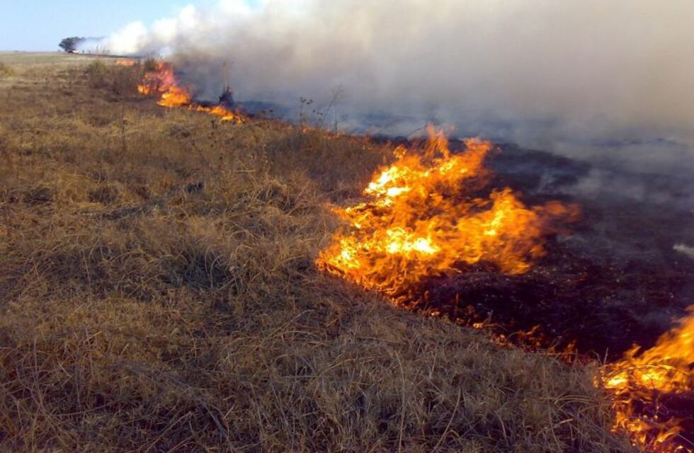 Cayó un transformador y se incendiaron 700 hectáreas en La Paz