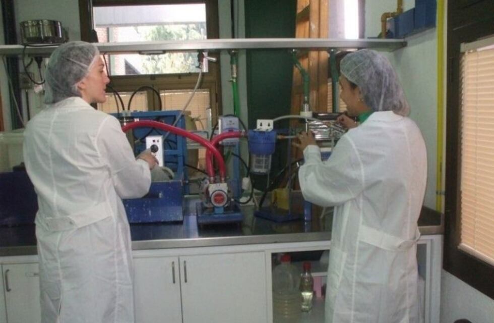 Un grupo de científicas puntanas trabajan en la elaboración de un pan nutritivo y económico
