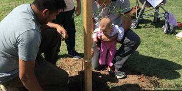 Programa Planta Vida de la Municipalidad de Córdoba