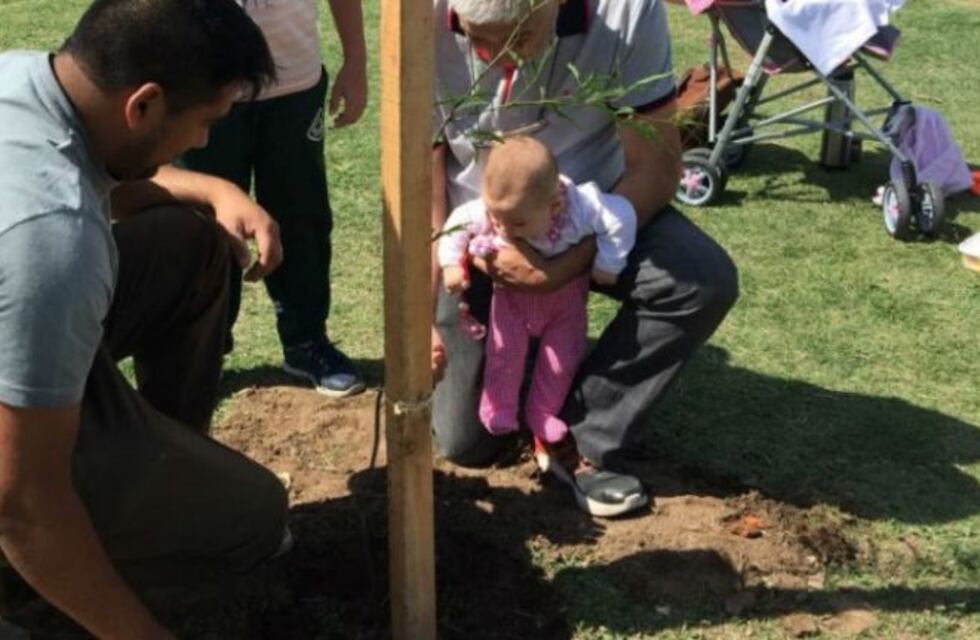 En la ciudad de Córdoba, por cada niño que nace se planta un árbol