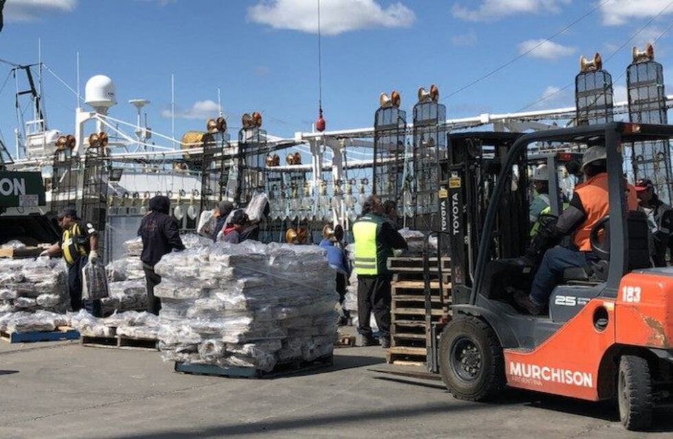 Estibadores decidieron por mayoría seguir sosteniendo la actividad en el puerto
