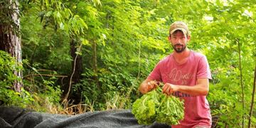 Horticultor de Misiones\u002E (Min\u002E del Agro de Misiones)