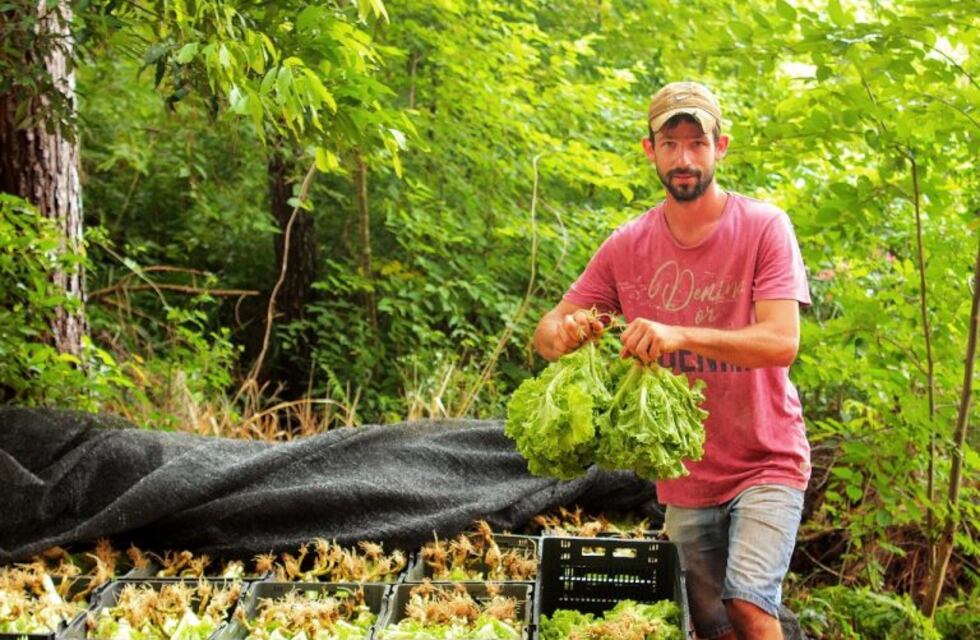 Apoyo financiero y técnico para casi 200 productores de hortalizas